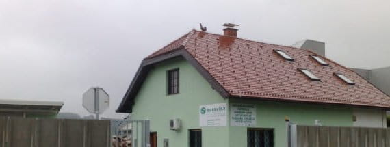 5_sl_bistrica_pic_9d3bd7e56d7f7555.jpg