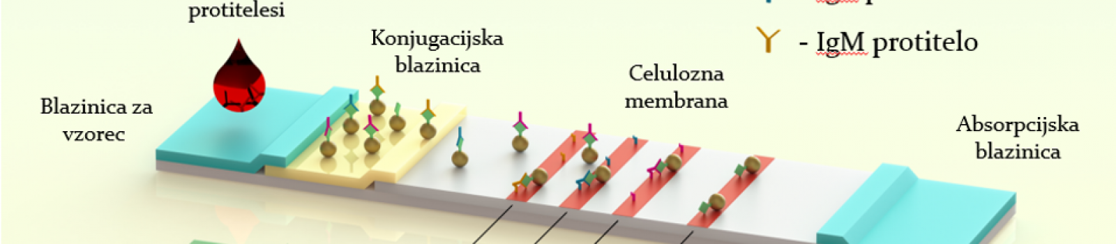 LFIA-REC, Recikliranje hitrih antigenskih LFIA testov (COVID-19)